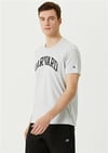 Champion Tshirt Harward Gri_101760471_038