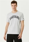 Champion Tshirt Harward Gri_101760471_038