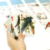 Kikkerland 3-D Bird playing cards-3-D Kuş Temalı Oyun Kartı_GG113