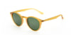 Looklight Güneş Gözlüğü Letoon Small Matte Daisy (LL337)_LL2210 / 07M / G15