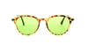Looklight Güneş Gözlüğü Gregor Amber Light Green (LL330)_LL2560 / 41 / LG50