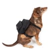 Eastpak Köpek Sırt Çantası Dog Pak'R Black_EK0A5BEO0081