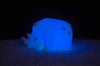 Dhink Silikon Gece Lambası Rhino Scott Yeşil_DHINK437-01