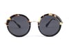 Freesbee Güneş Gözlüğü Fresno Gold Tigris Black_FR89-FR-GOLDTIGBLK