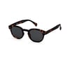 Izipizi Güneş Gözlüğü C Sun Tortoise_2301