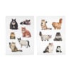Mustard Magnet Kedi Fat Cats_M16201