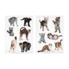 Mustard Magnet Kedi Scaredy Cats_M16201C