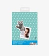 Mustard Magnet Kedi Scaredy Cats_M16201C