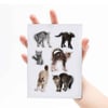 Mustard Magnet Kedi Scaredy Cats_M16201C