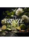CARPEX Breeze Auramax Koku Kartuşu 250 ML