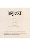 CARPEX Breeze Auramax Koku Kartuşu 250 ML