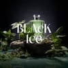 Carpex Geniş Alan Ortam Kokusu Black İce 125 Ml