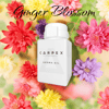 Carpex Ginger Blossom E2 Power Koku Kartuşu 125 ML