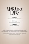 Marine Life Maxx Tower 750-X Koku Kartuşu 100 ML Classıc Seri