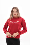 Kadın Önü Nakış Detaylı Üç İplik Sweatshirt 245328 -