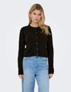JDYCHLOE L/S CARDIGAN KNT NOOS 15330581