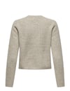 JDYCHLOE L/S CARDIGAN KNT NOOS 15330581