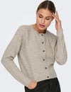 JDYCHLOE L/S CARDIGAN KNT NOOS 15330581