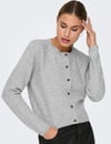 JDYCHLOE L/S CARDIGAN KNT NOOS 15330581