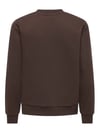 JDYPARIS L/S EMB SWEAT JRS NOOS 15221015