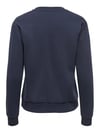 JDYPARIS L/S EMB SWEAT JRS NOOS 15221015