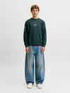 JJESOHO SWEAT CREW NECK NOOS 12278791
