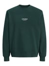JJESOHO SWEAT CREW NECK NOOS 12278791