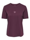 ONLHAPPY S/S O-NECK TEE EMB CC JRS 15382490