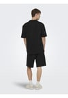 ONLY & SONS ONSAUSTIN RLX SS SEERSUCK RSRT POLO TEE 22038187