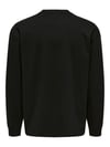 ONLY & SONS ONSCASPIAN AIRLFEX RLX LS TEE NOOS 22031941