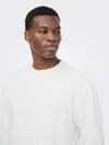 ONLY & SONS ONSCASPIAN AIRLFEX RLX LS TEE NOOS 22031941