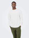 ONLY & SONS ONSCASPIAN AIRLFEX RLX LS TEE NOOS 22031941