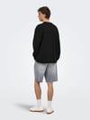 ONLY & SONS ONSCASPIAN AIRLFEX RLX LS TEE NOOS 22031941
