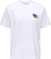 ONLY & SONS ONSFLEURI LIFE FLOWER RLX SS TEE 22037619