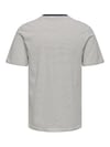 ONLY & SONS ONSFRED LIFE RLX SS STRIPE TEE NOOS 22036384