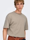 ONLY & SONS ONSFRED LIFE RLX SS STRIPE TEE NOOS 22036384