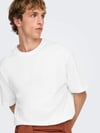 ONLY & SONS ONSFRED LIFE RLX SS TEE NOOS 22022532