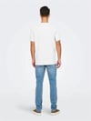 ONLY & SONS ONSPERRY LIFE REG LEAF SS POCKETTEE 22025286