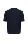 ONLY & SONS ONSTHIJS  RLX SS POLO KNIT 22036558