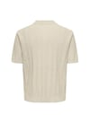 ONLY & SONS ONSTHIJS  RLX SS POLO KNIT 22036558