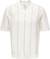 ONLY & SONS ONSWYLER LIFE STR REG 14SS ZIP POLO FRML 22037067