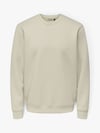ONSLUCA LIFE REG LS CREW SWEAT 22035201