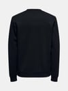 ONSLUCA LIFE REG LS CREW SWEAT 22035201