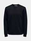 ONSLUCA LIFE REG LS CREW SWEAT 22035201