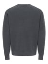 ONSRODGER RLX CREW NECK KNIT 22039789