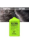 BeaMarryŞAMPUANLARBeamarry Rosemary Tea Tree Energy Shampoo 380 ml