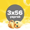 DALİNEV BAKIM Dalin Islak Havlu 3'lü Paket - 56 Adet x 3