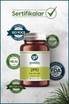 GOODDAYVİTAMİN-MİNERALLERGoodday 2PD Two Per Day 60 Kapsül