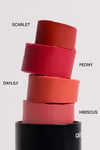 INO BeautyKOZMETİKIno Beauty Catch Bloom Full Size Lip Cheek Stick Dudak ve Yanak Nemlendirici Peony 8,77 gr