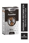 NBTVİTAMİN-MİNERALLERNbt Life Longlife Fucoidan 60 Kapsül